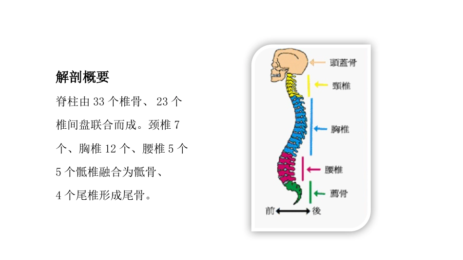 一例腰痛病中医护理教学查房_第5页