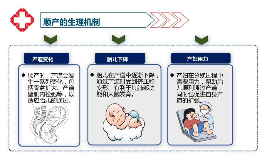一例顺产患者护理查房-1_第5页