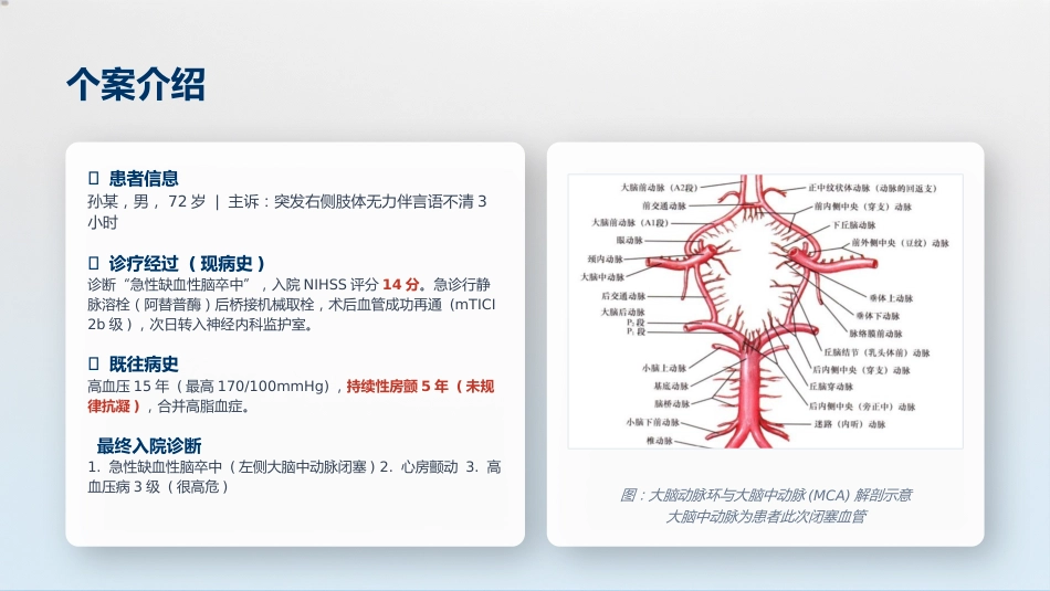 神经内科-脑梗死个案护理_第3页