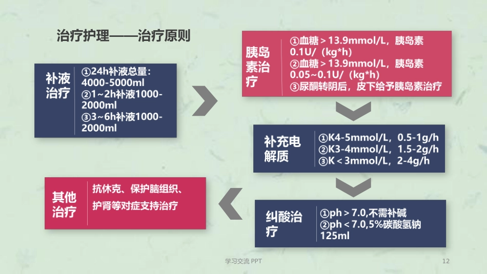 糖尿病酮症中毒的护理个案ppt课件(15页)_第12页
