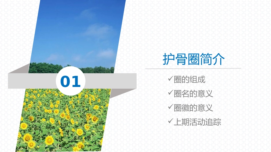 品管圈--提高下肢静脉预防下肢静脉血栓的执行率AA_第3页