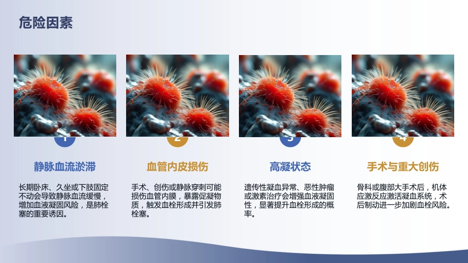 肺栓塞急救护理指南（2025版）解读_第6页