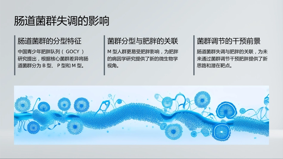 中国成人体重管理指南2025解读_第14页