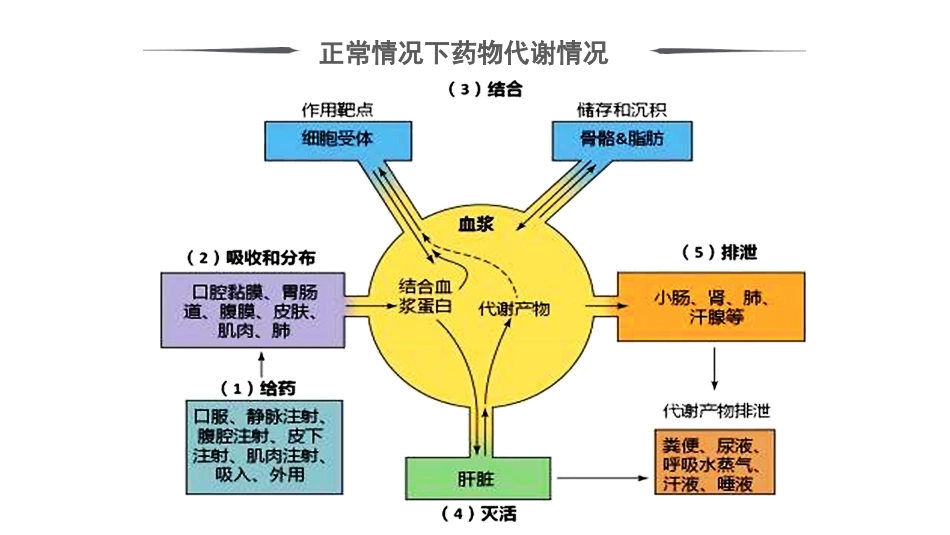 血液透析患者的用药指导_第5页