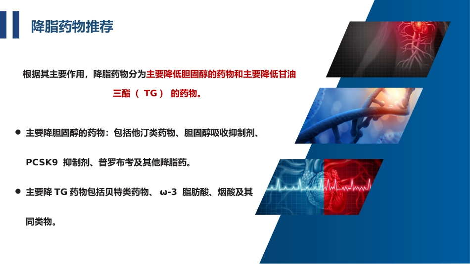 精准调脂指南领航——从指南看血脂异常的用药策略(1)_第13页