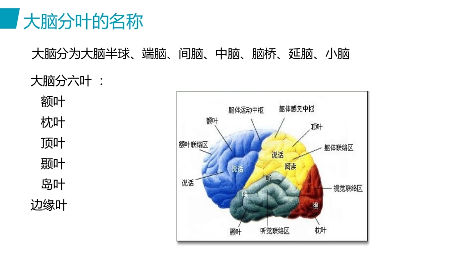脑出血护理(2)_第6页