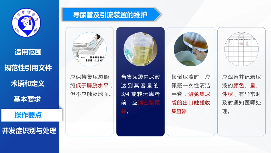 留置导尿的护理及并发症处理-2025团体标准-1_第15页