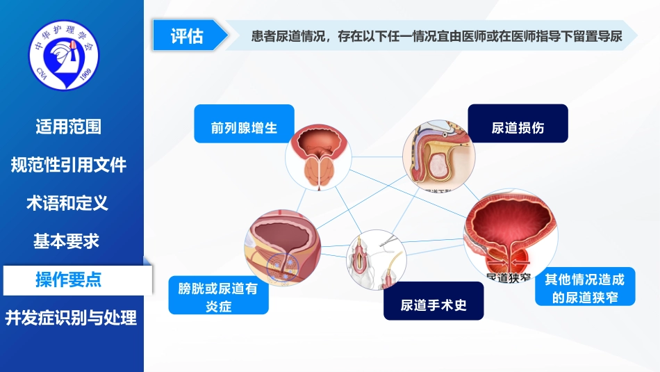 留置导尿的护理及并发症处理-2025团体标准-1_第9页