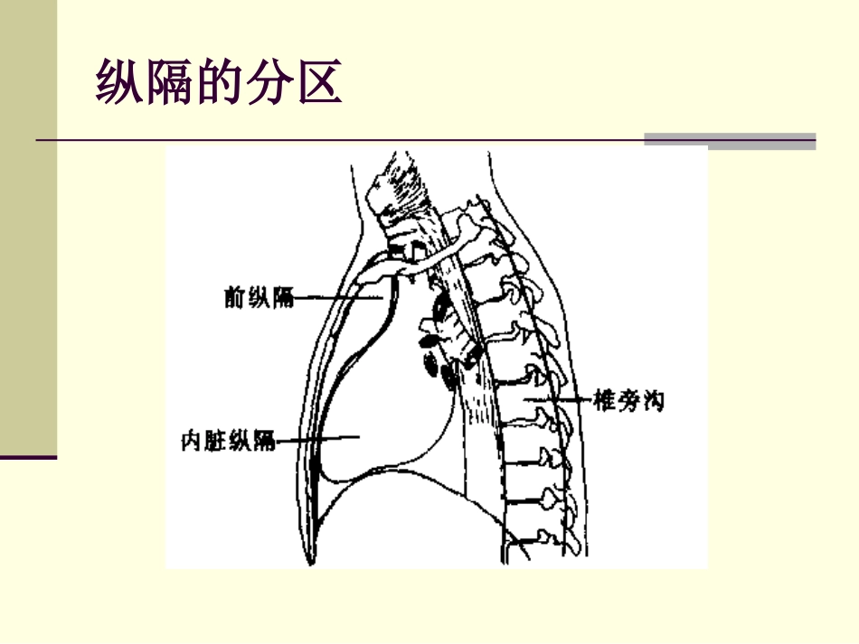 肿瘤科-纵隔肿瘤_第13页