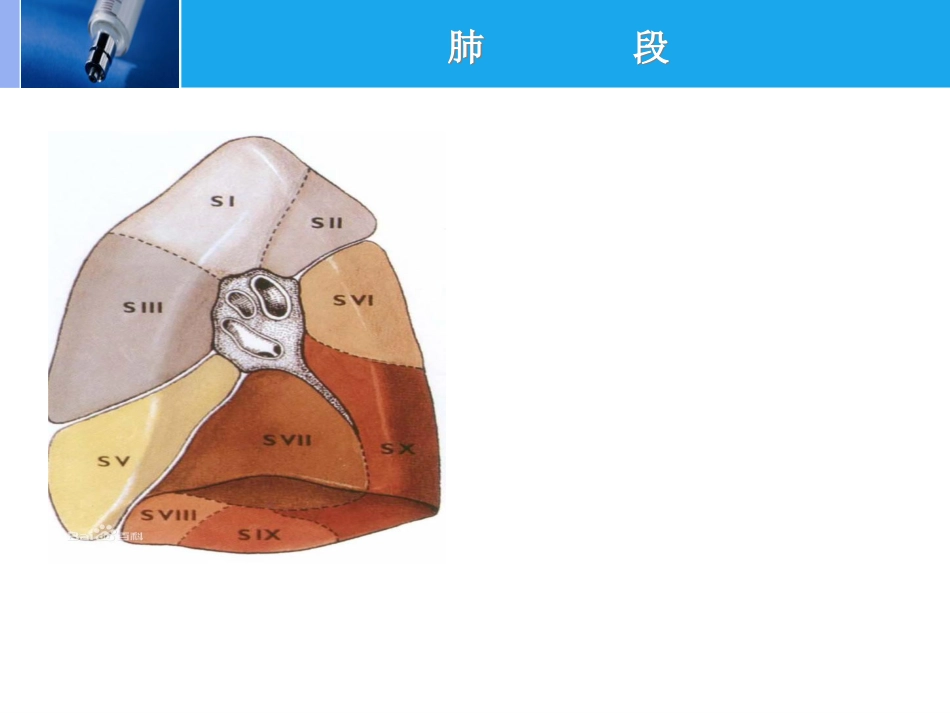 肿瘤科-肺癌-_第8页