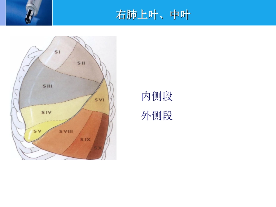 肿瘤科-肺癌-_第9页