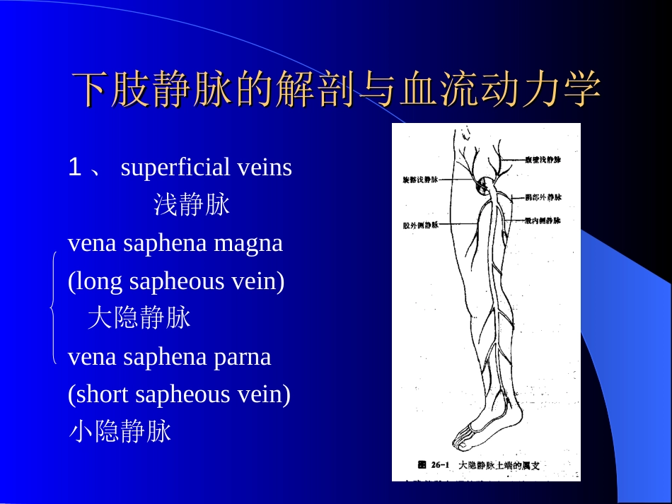周围血管与淋巴管疾病test_第3页