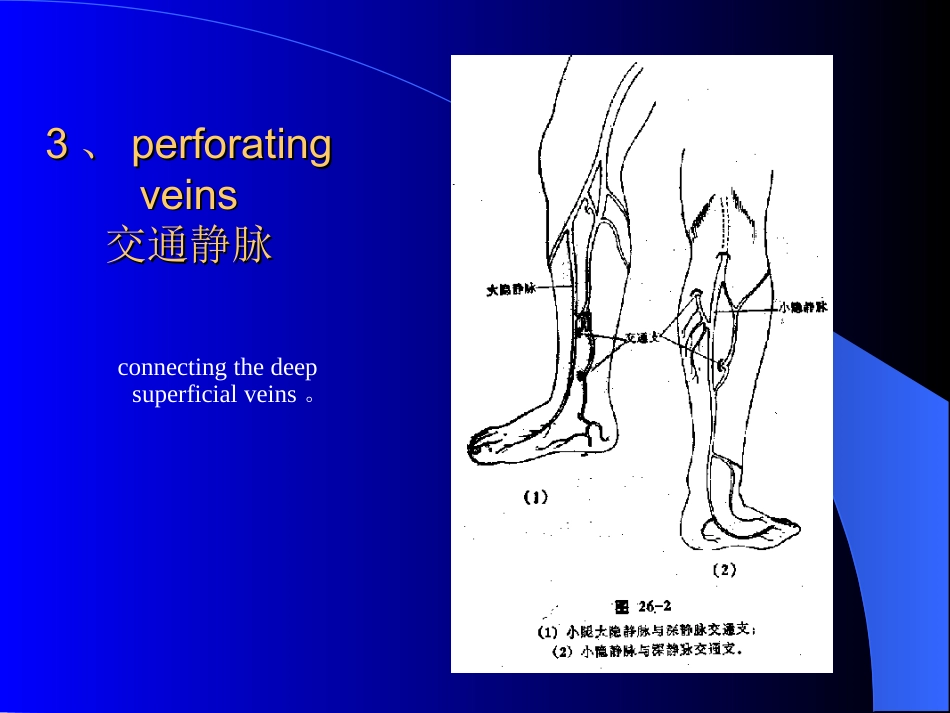 周围血管与淋巴管疾病test_第5页