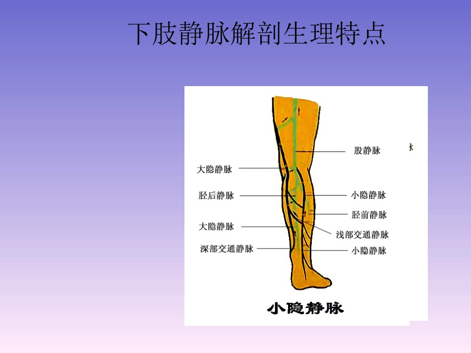 周围血管和疝_第8页
