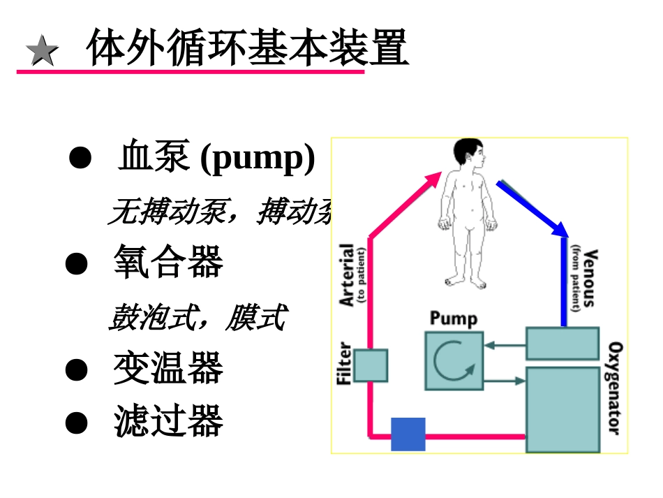 先心病教案 统一版_第12页