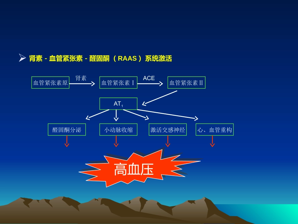 心血管内科-高血压课件_第12页