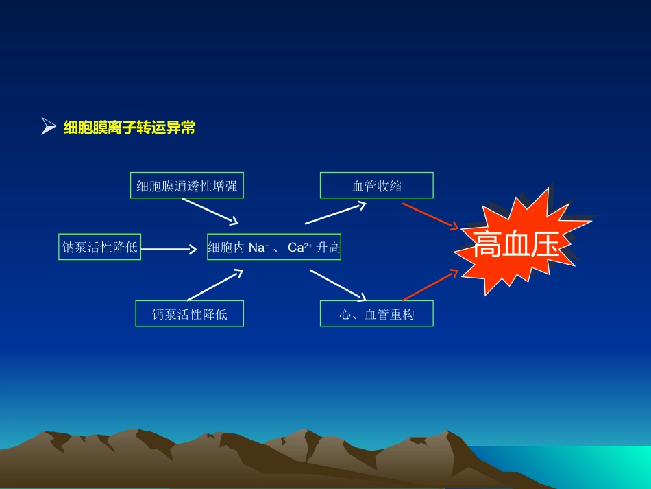 心血管内科-高血压课件_第13页