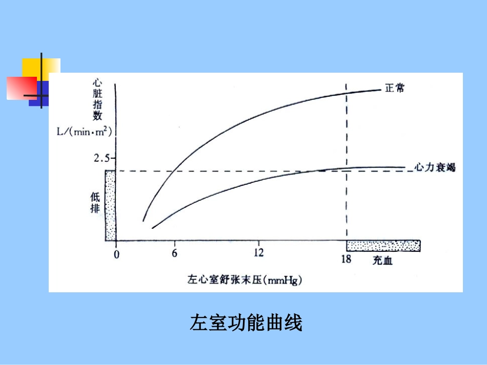 心衰_第14页