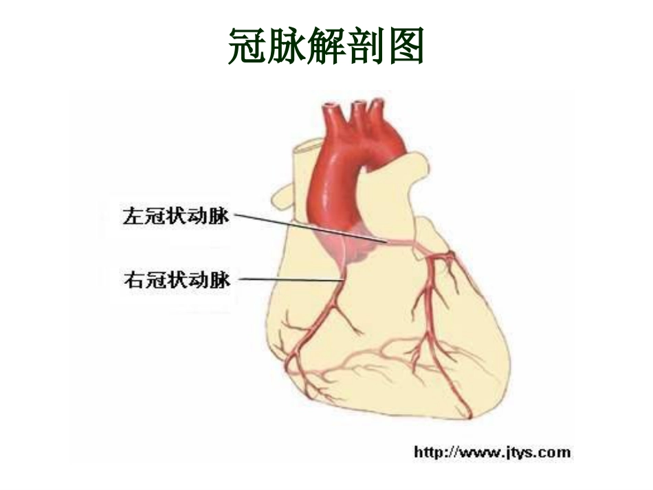 心血管内科-冠心病(课件)_第5页