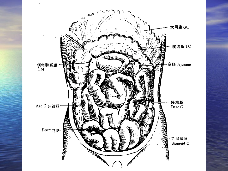 小肠+上消化道大出血_第3页