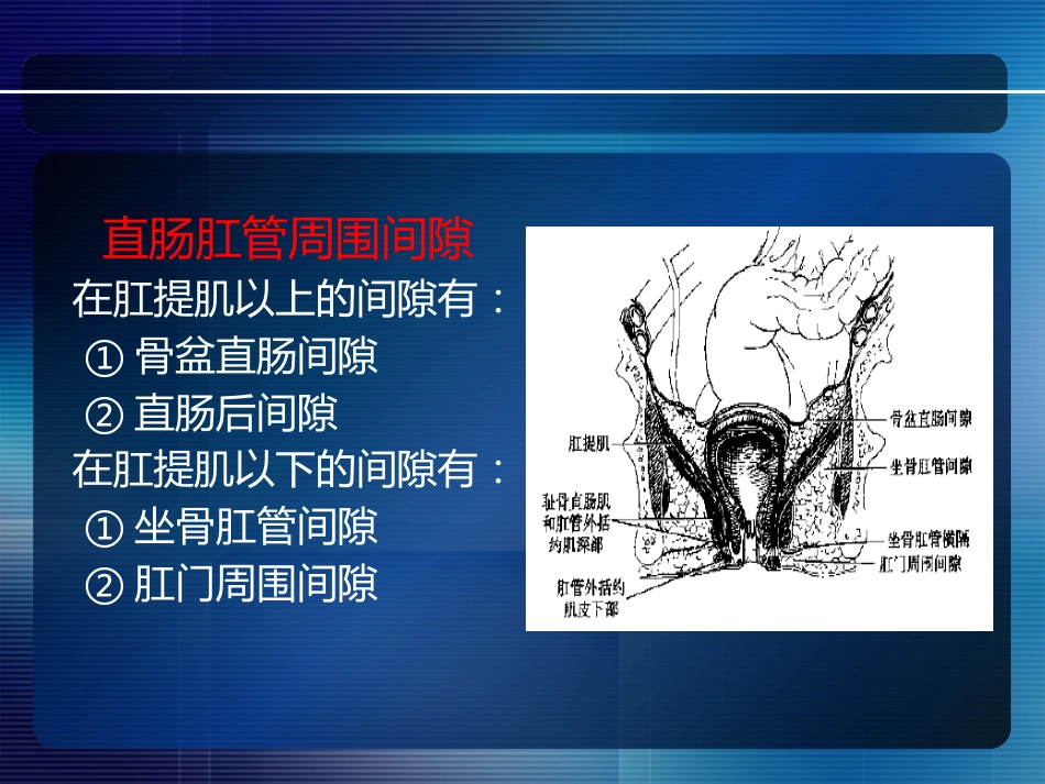 消化内科-直肠肛管疾病_第6页