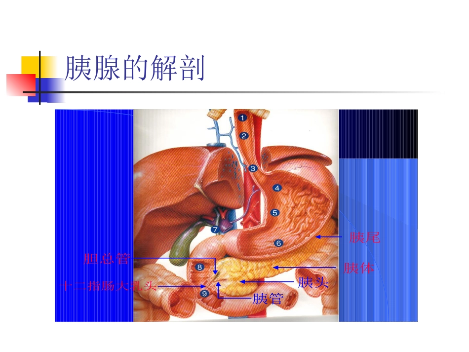 消化内科-胰腺炎_第2页