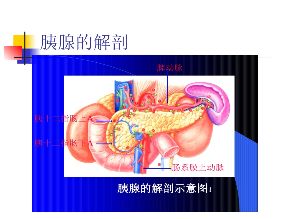 消化内科-胰腺炎_第3页