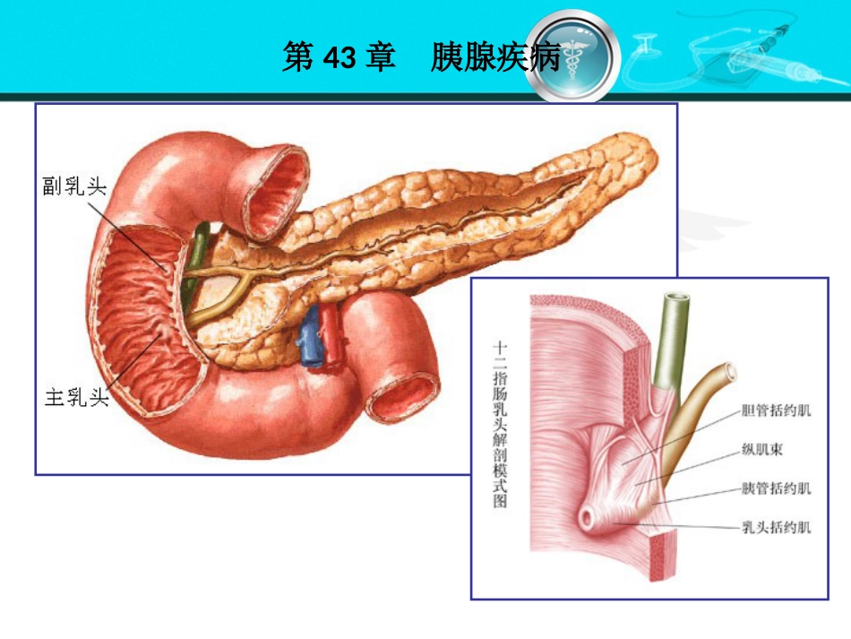 消化内科-胰腺疾病_第5页