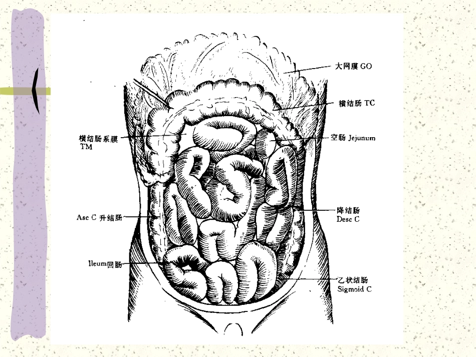 小肠疾病_第4页
