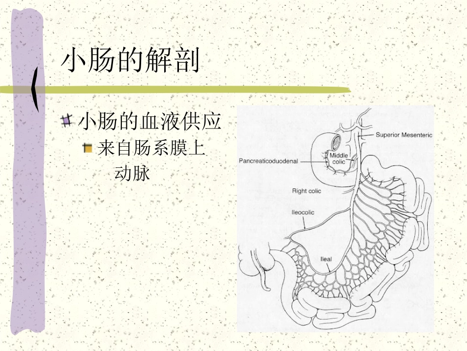 小肠疾病_第5页