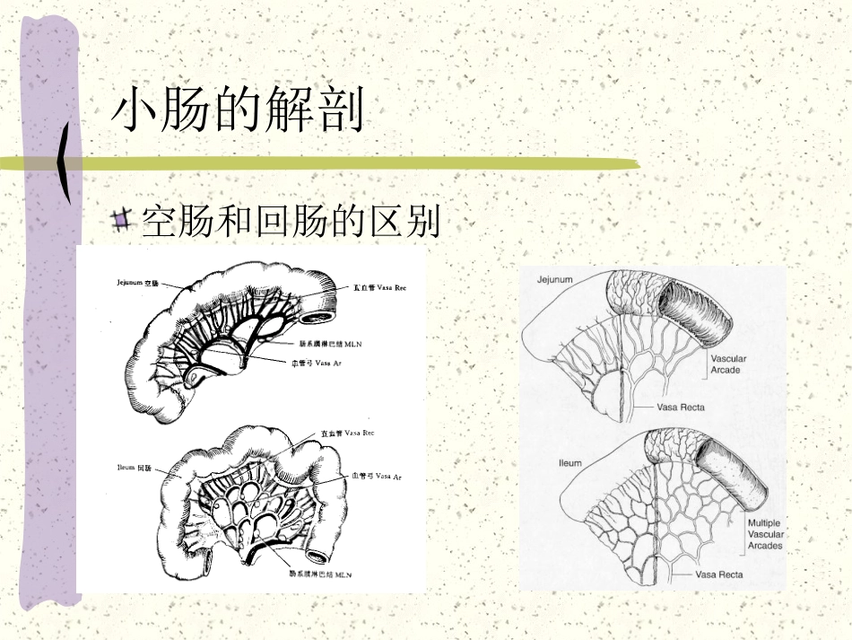 小肠疾病_第6页