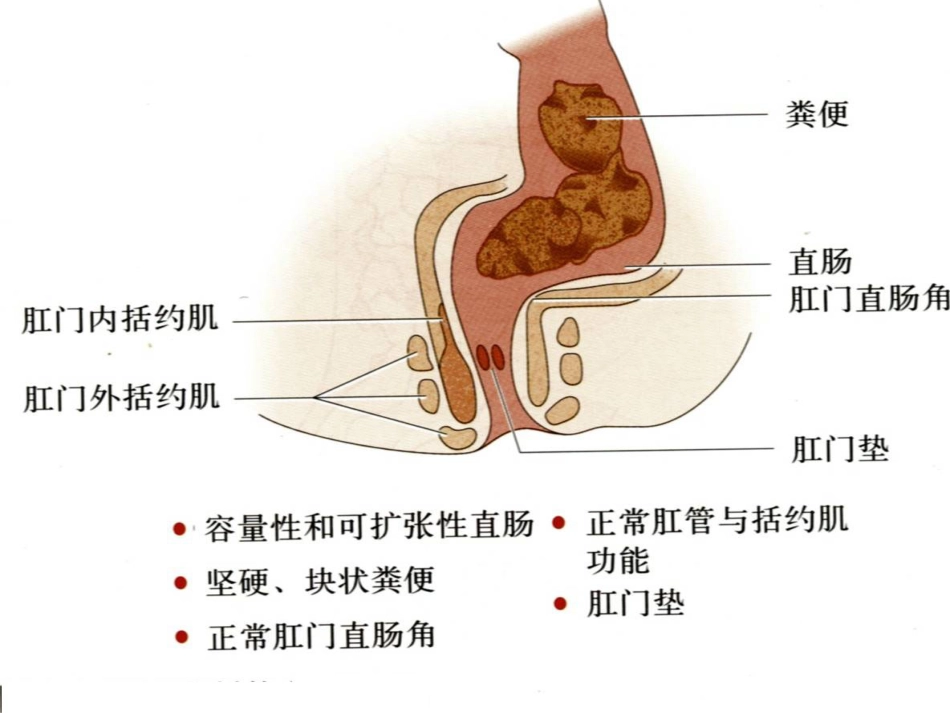 消化科便秘_第12页