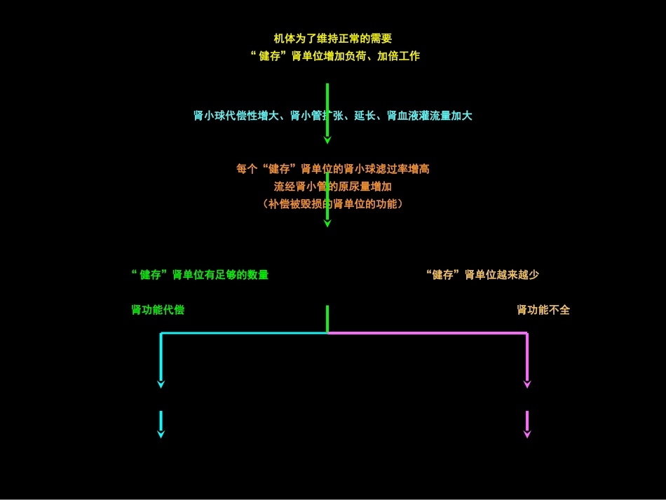 肾内科-慢性肾衰课件_第9页