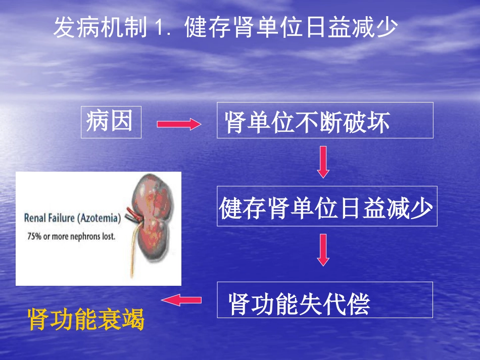 肾内科-慢性肾衰竭_第12页
