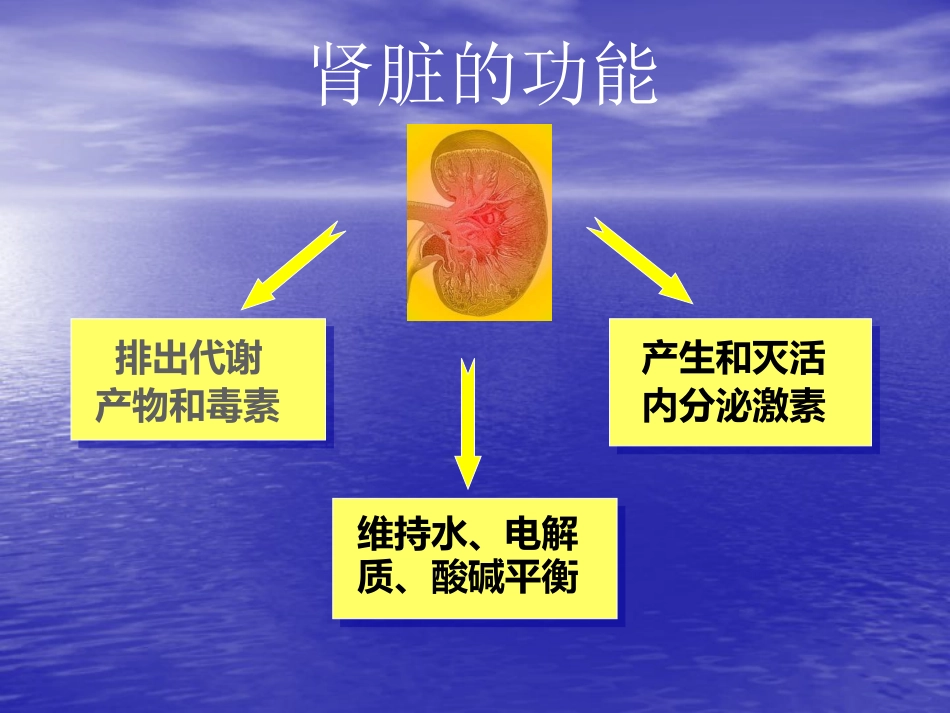 肾内科-慢性肾衰竭_第2页