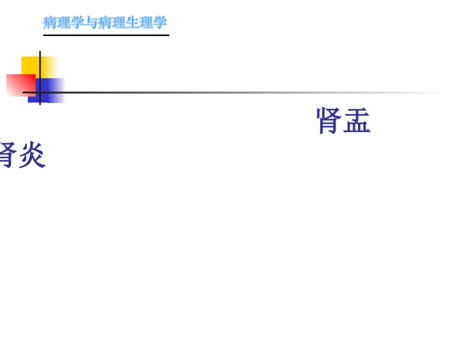 肾内科-肾盂肾炎1_第1页