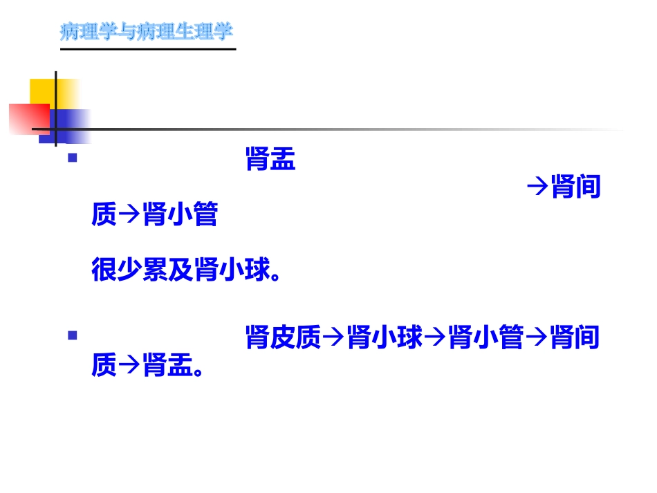 肾内科-肾盂肾炎1_第12页