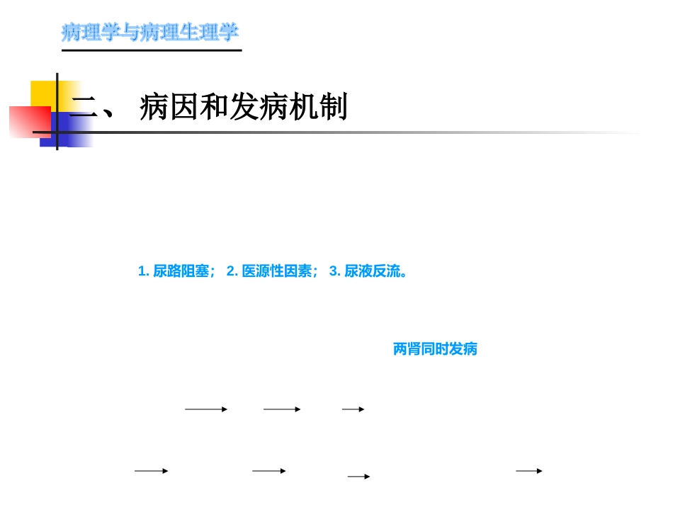 肾内科-肾盂肾炎1_第3页
