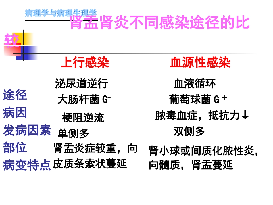 肾内科-肾盂肾炎1_第4页