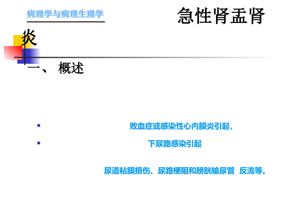 肾内科-肾盂肾炎1_第5页
