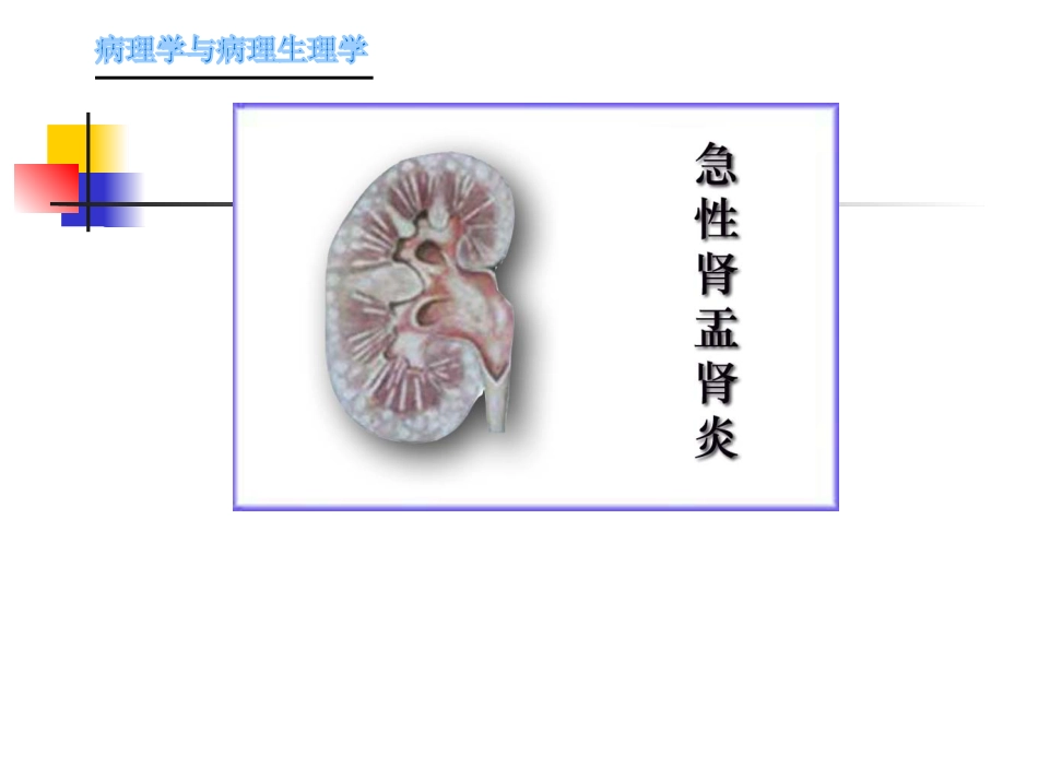 肾内科-肾盂肾炎1_第7页
