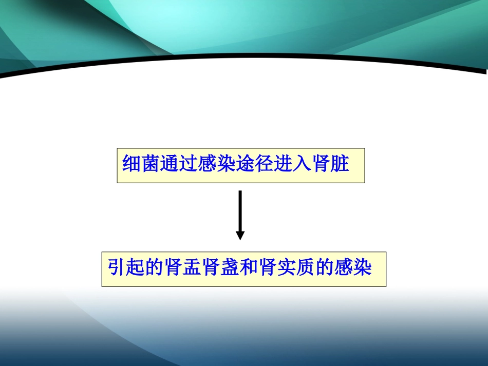 肾内科-肾盂肾炎2_第11页
