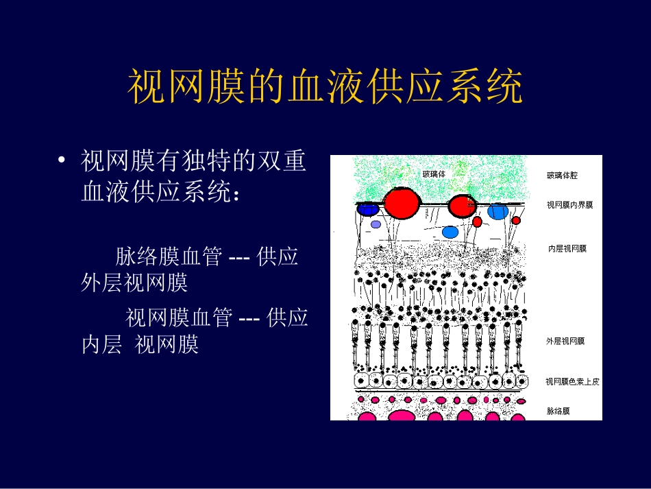 眼底病、眼与全身病备份_第4页