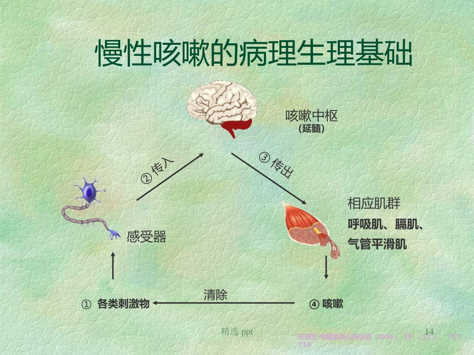 《小儿慢性咳嗽》PPT课件【67页】_第14页