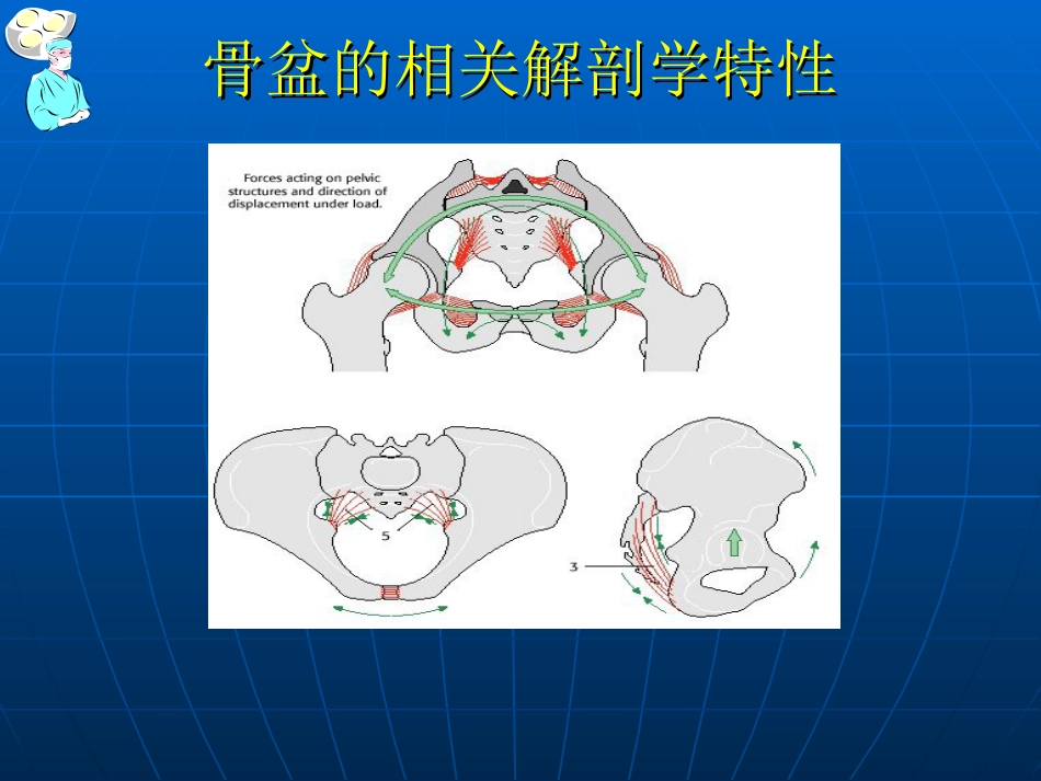骨盆骨折的 分型和治疗_第10页