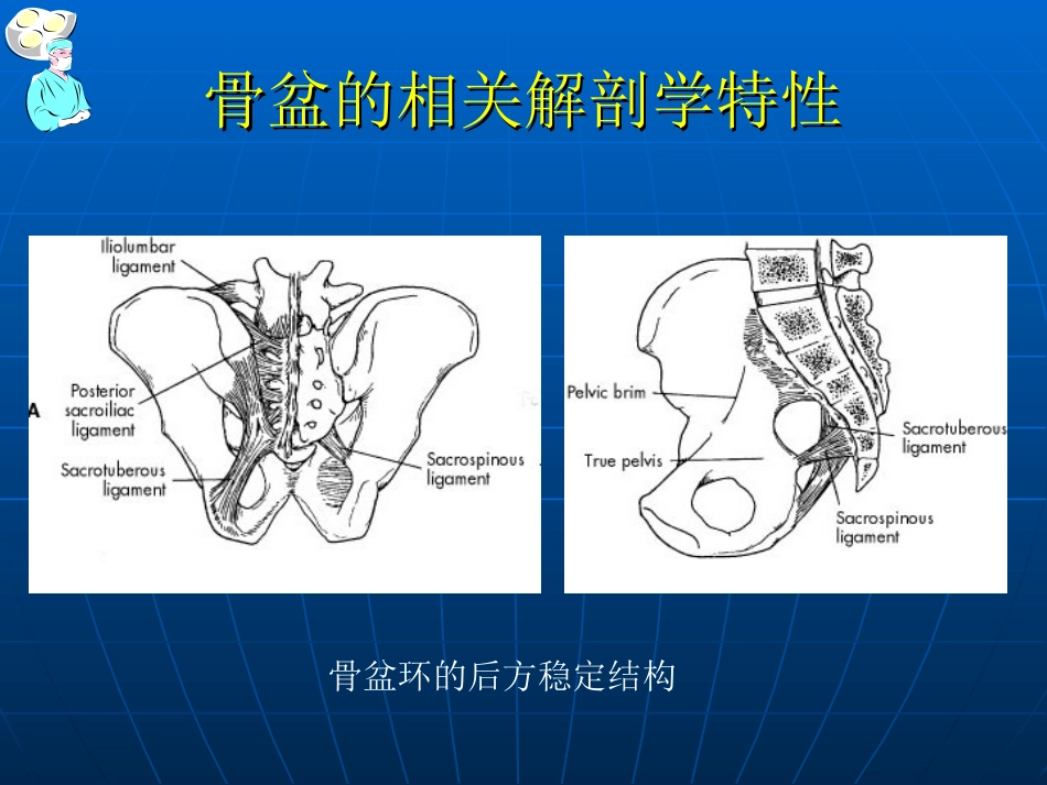 骨盆骨折的 分型和治疗_第7页