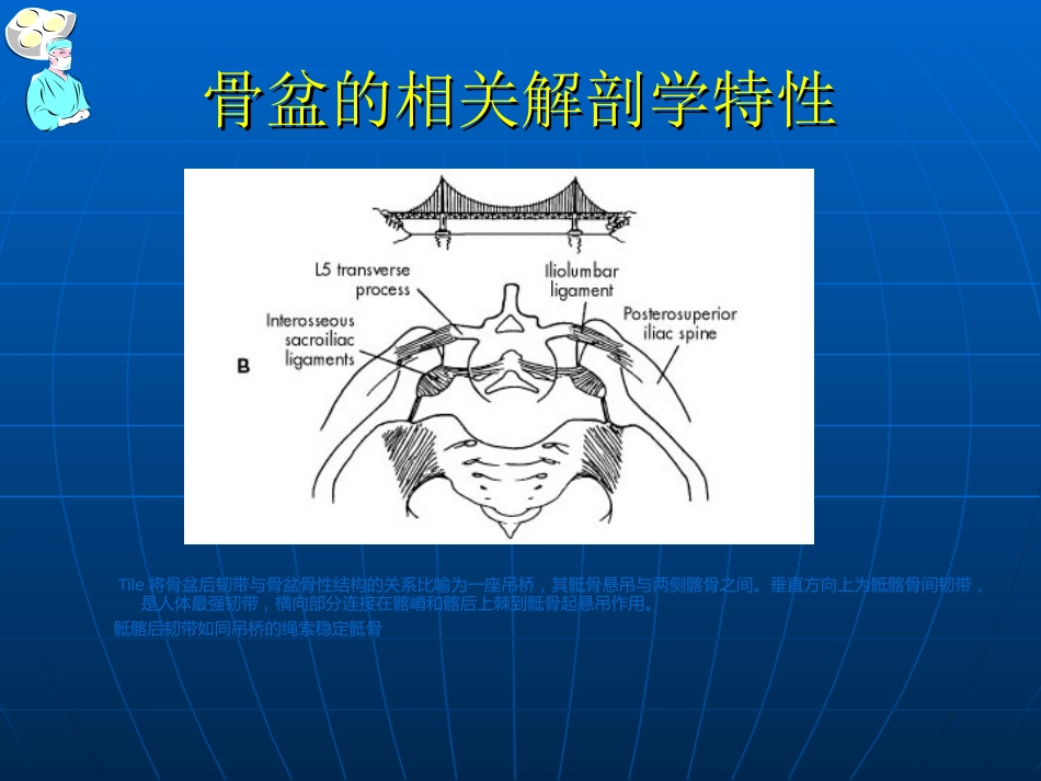 骨盆骨折的 分型和治疗_第8页