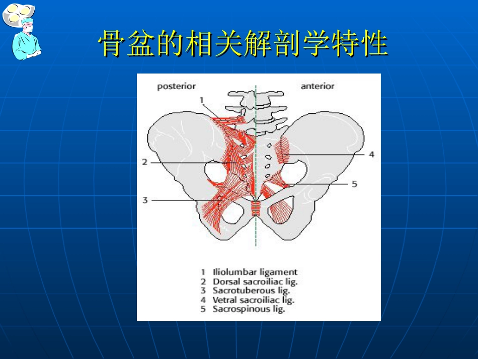 骨盆骨折的 分型和治疗_第9页
