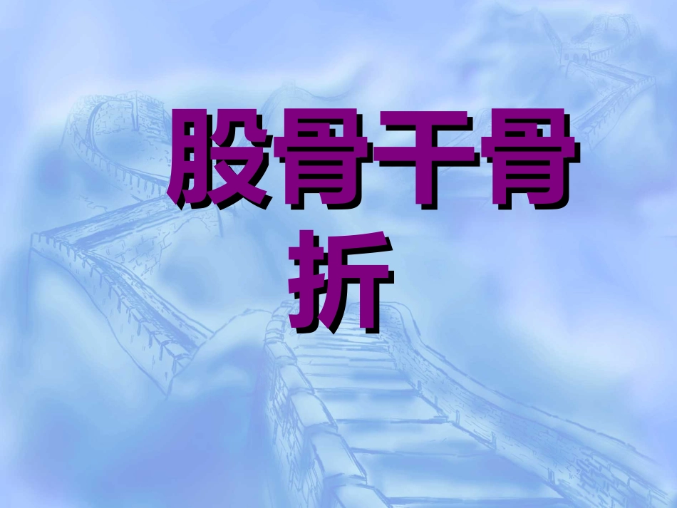 股骨干 骨折_第1页