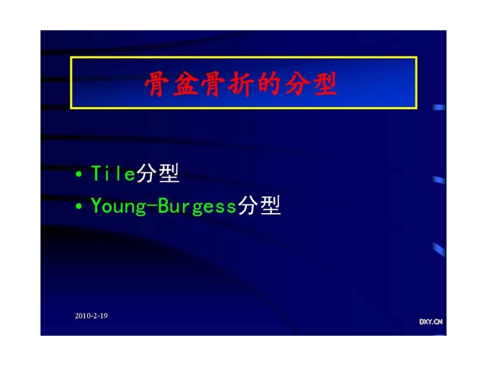 骨盆 与髋臼骨折的诊断与分型_第12页